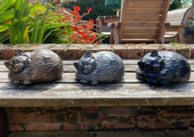 Dog cremation in Uttoxeter