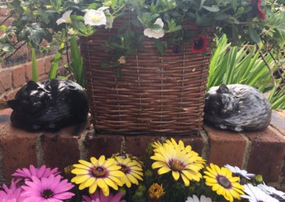 Dog cremation in Uttoxeter