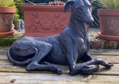 Dog cremation in Uttoxeter