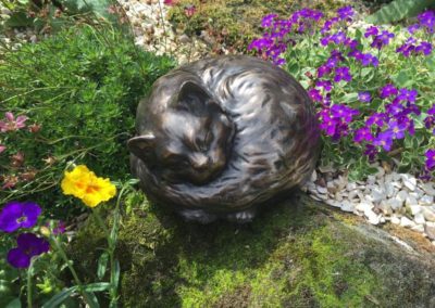 Dog cremation in Uttoxeter