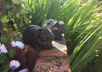 Dog cremation in Uttoxeter