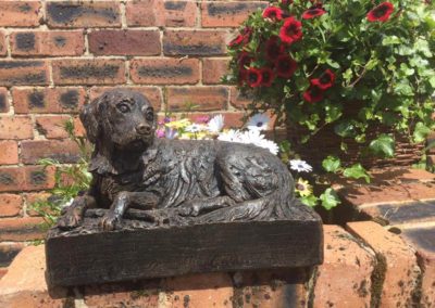 Dog cremation in Uttoxeter