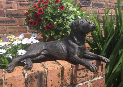 Dog cremation in Uttoxeter