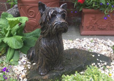 Dog cremation in Uttoxeter