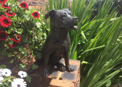 Dog cremation in Uttoxeter