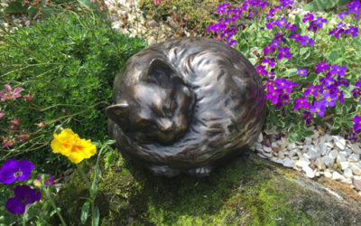 What to Do If Your Pet Dies
